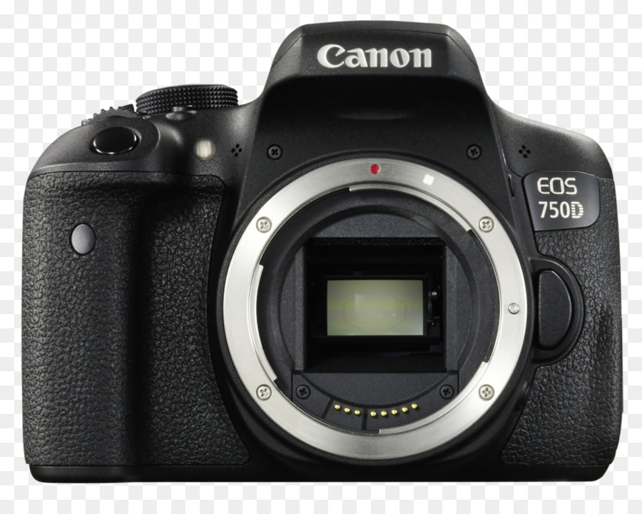 Canon Los 700d，Canon Los 800d PNG