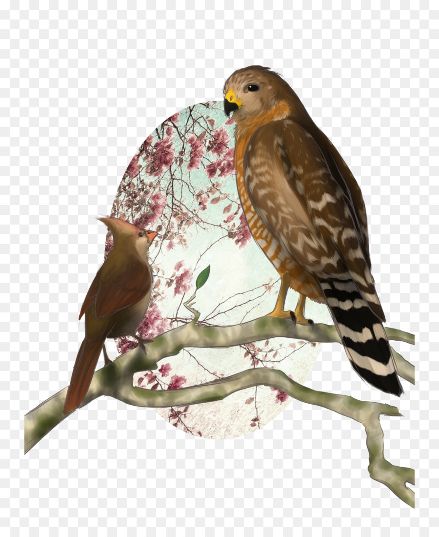 Falcão，Flor PNG