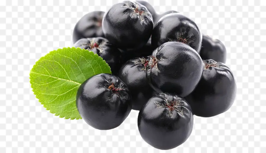 Suco De，Chokeberry PNG