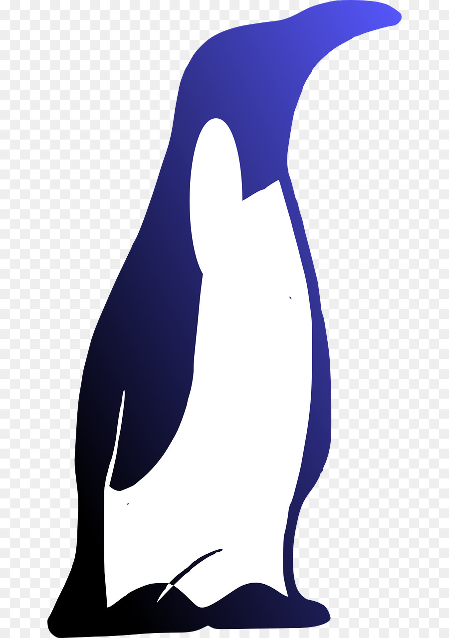 Penguin，Aves PNG