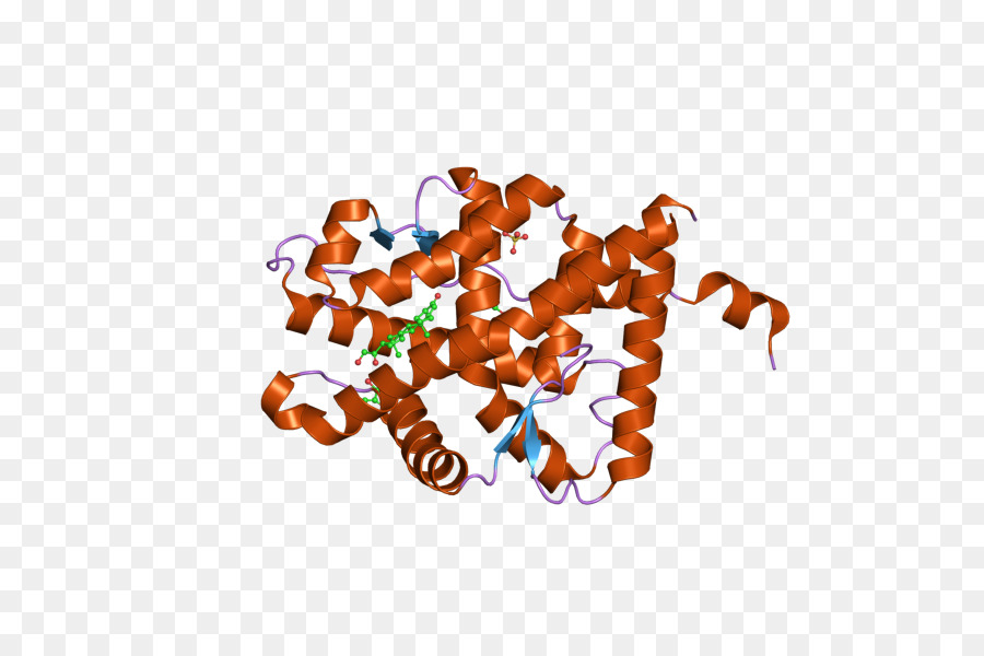 Estrutura Proteica，Molécula PNG