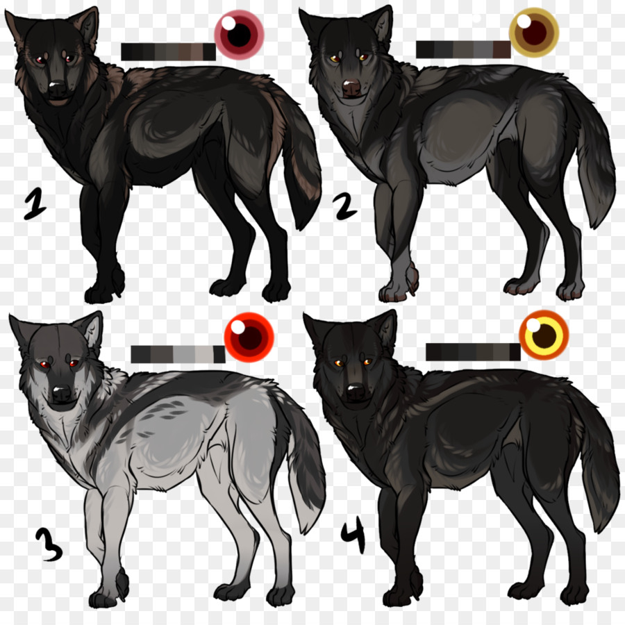 Raça Do Cão，Schipperke PNG