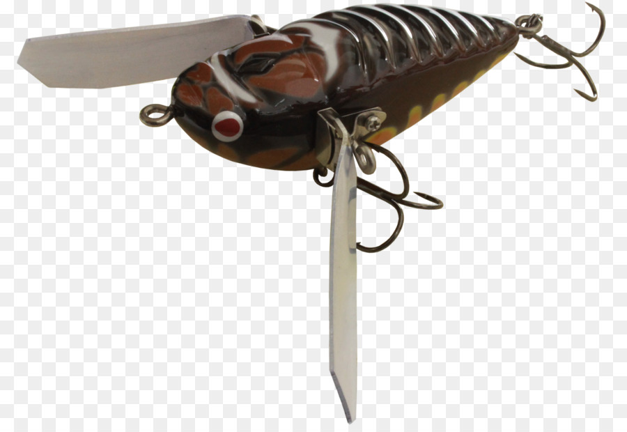 Rastreador Da Web，A Pesca De Iscas Iscas PNG