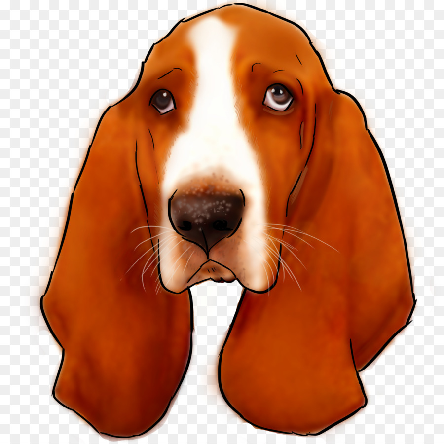 Treeing Walker Coonhound，Basset Hound PNG