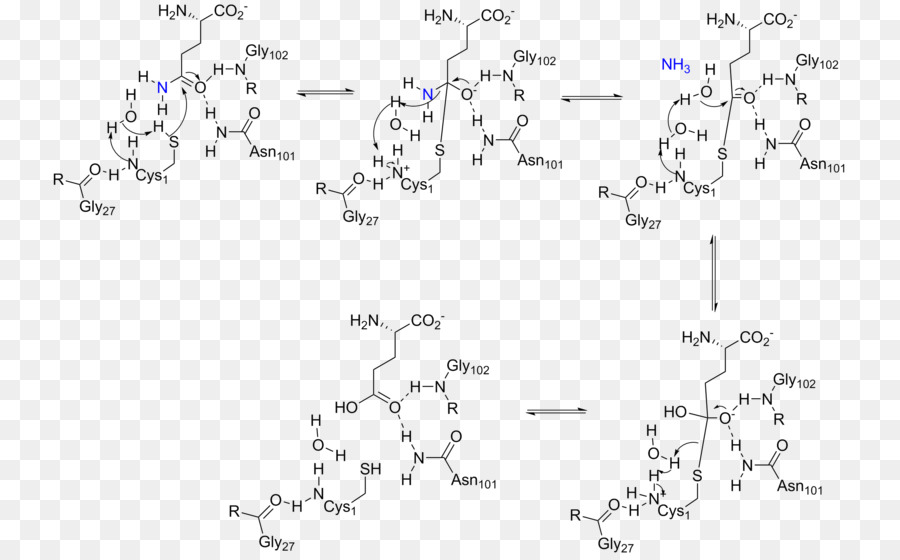 Diagrama Químico，Química PNG