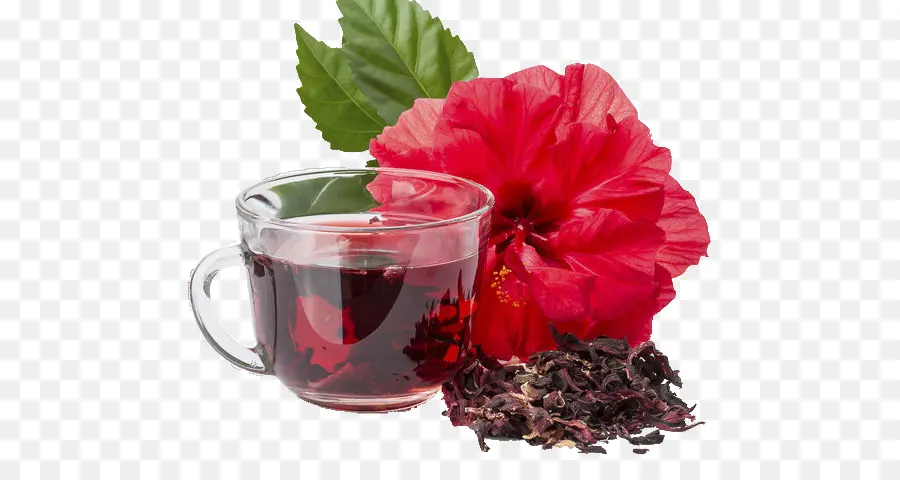 Chá De Hibisco，Flor Vermelha PNG