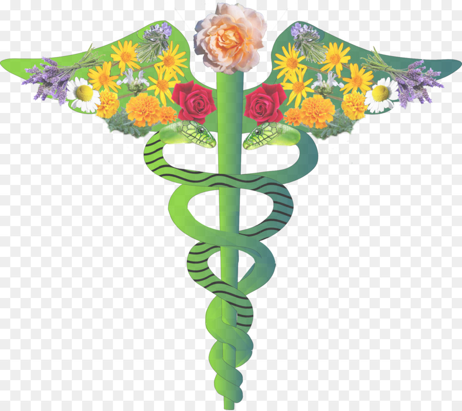 Símbolo Médico，Caduceu PNG