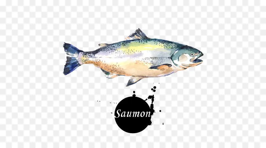 Peixe Salmão，Aquarela PNG