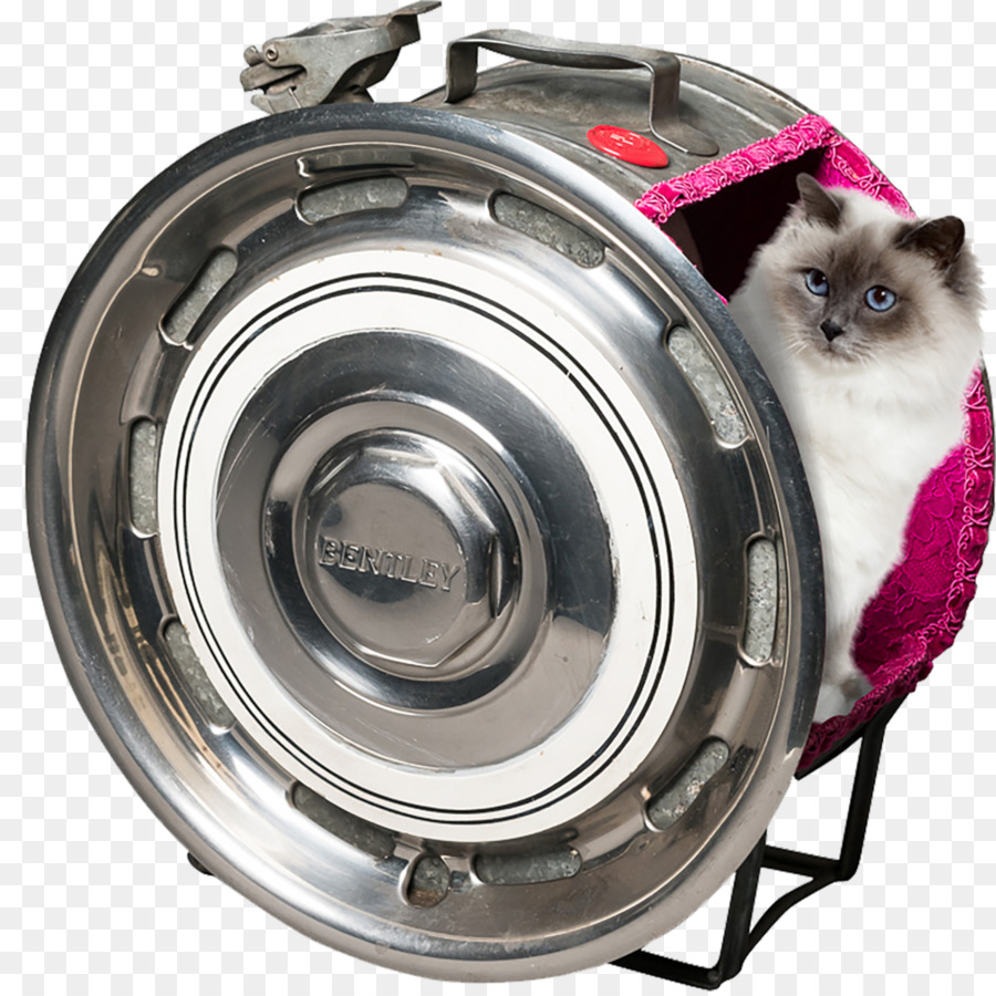 Carro，Gato PNG