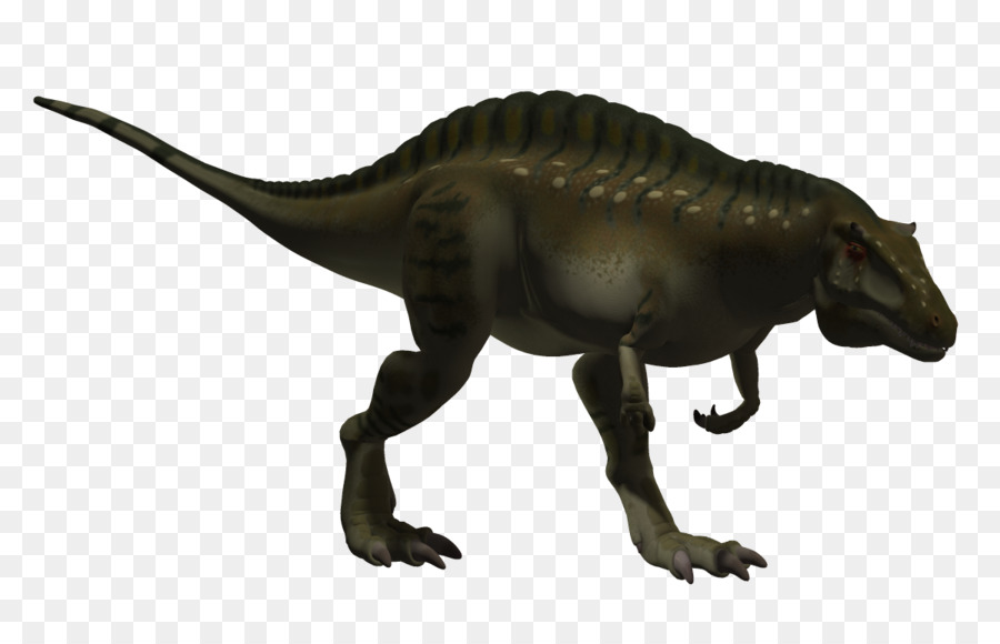 Tiranossauro，Acrocanthosaurus PNG