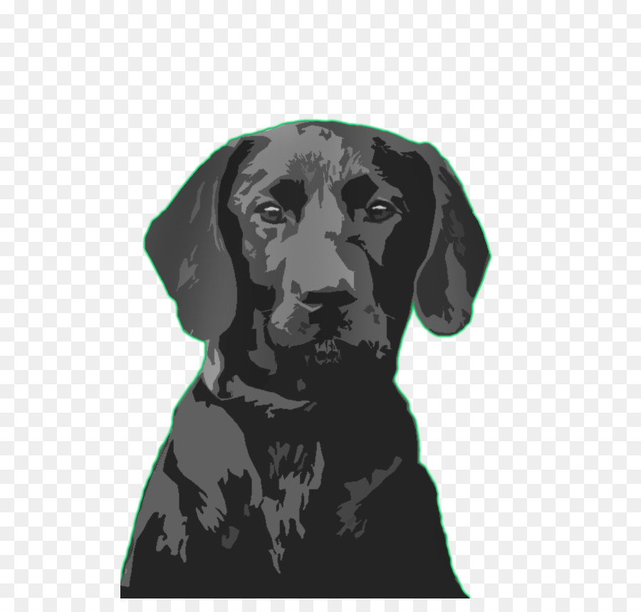 Ilustra O De Cachorro Preto，Cachorro PNG