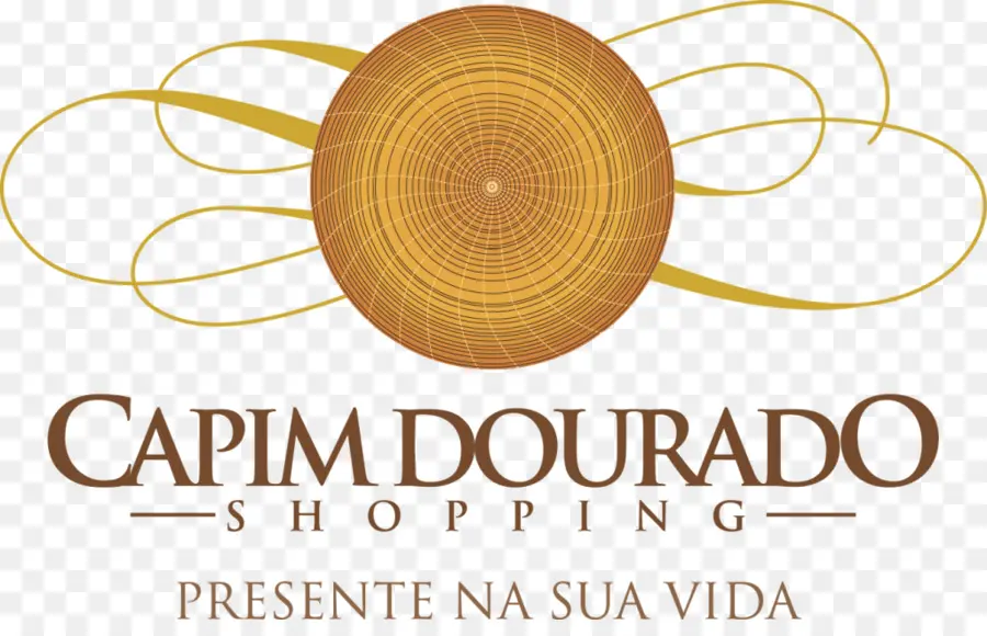 Shopping Capim Dourado，Shopping Center PNG