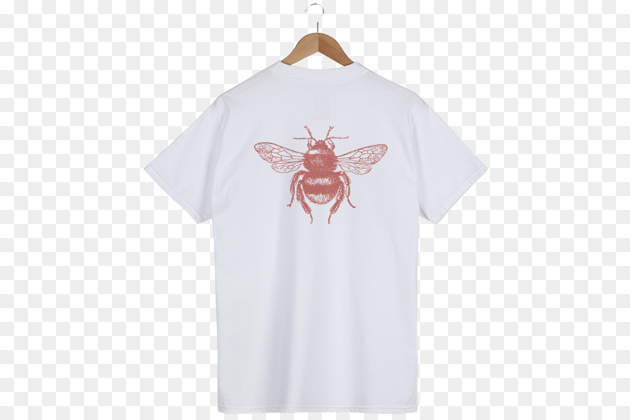 Tshirt，Manga PNG