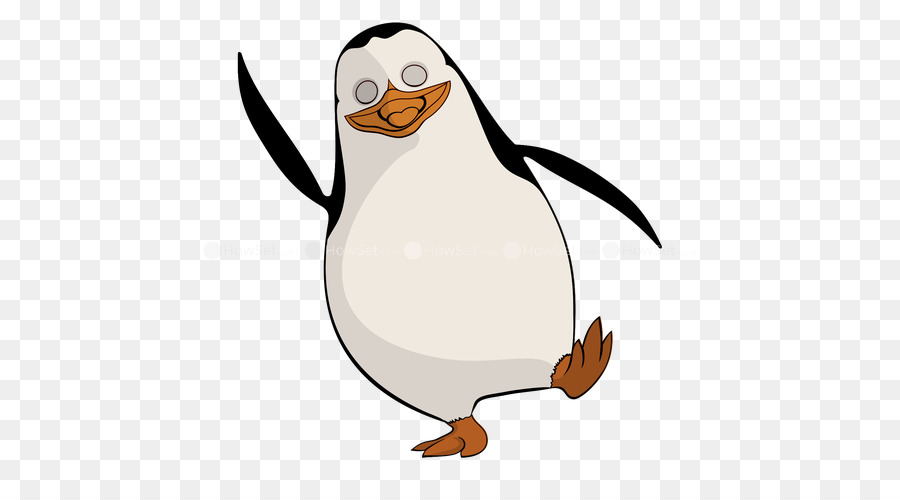 Pinguim，Pássaro PNG