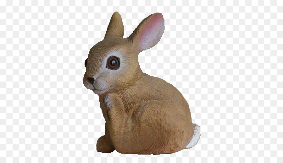 Coelhos，Lebre PNG