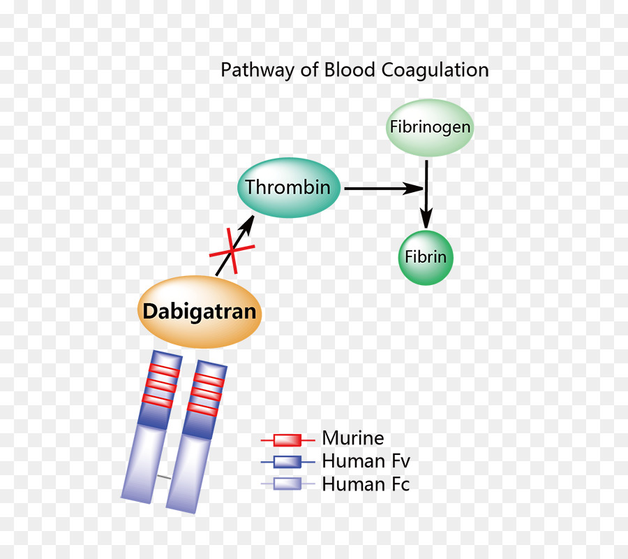 Idarucizumab，A Dabigatrana PNG