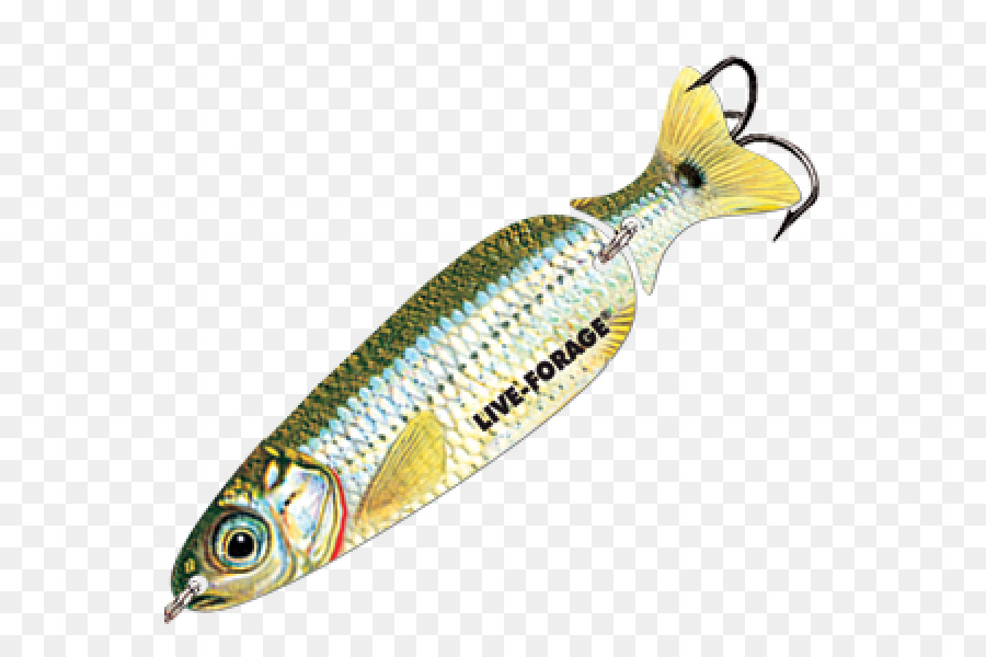 Colher De Atrair，A Pesca De Iscas Iscas PNG