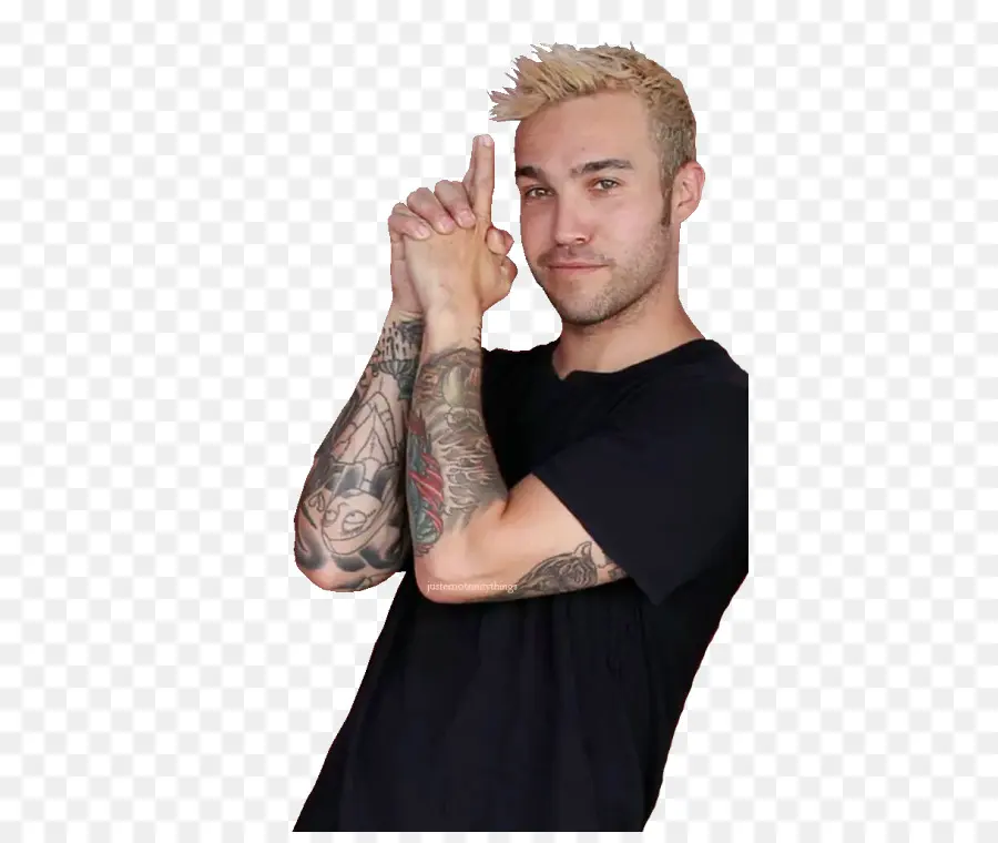 Pete Wentz，Fall Out Boy PNG