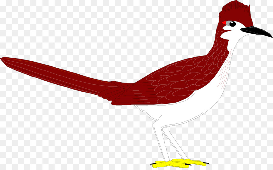 Wile E Coiote E Papa Léguas，Maior Roadrunner PNG