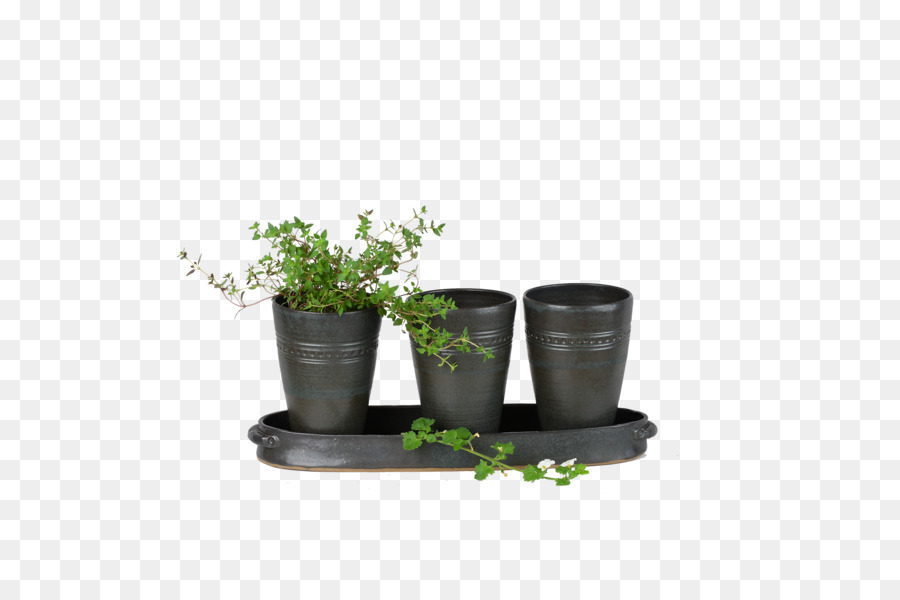 Vasos De Plantas，Ervas PNG