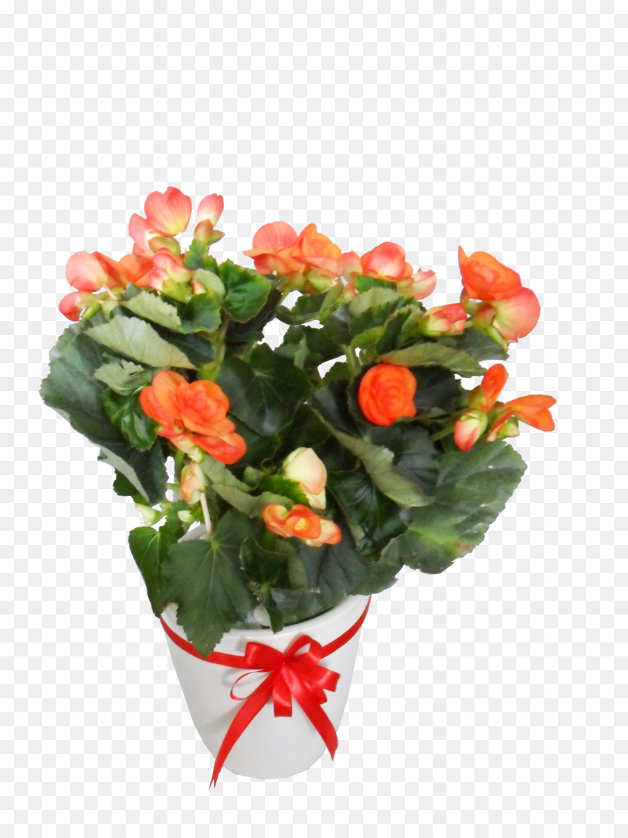 As Rosas Do Jardim，Flowerpot PNG