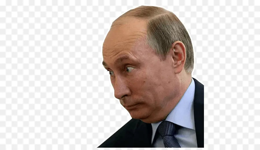 Vladimir Putin，O Presidente Da Rússia PNG
