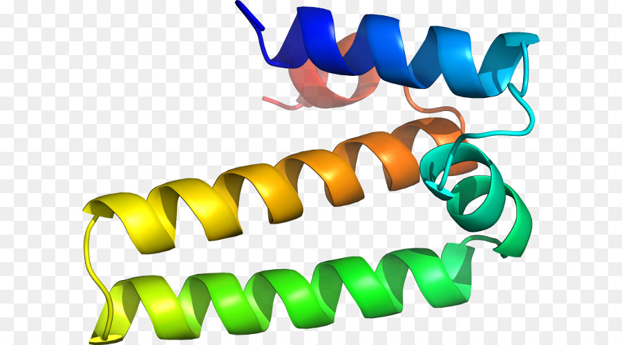 Hélice De Proteína，Molécula PNG