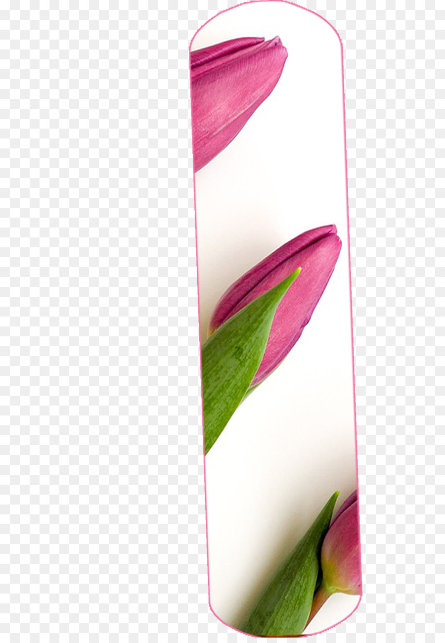 Floral Diário Roxo Hastes De 6 X 9 Forrado De Jornal Livro Em Branco Do Caderno Durável Cover150 Páginas Para Escrever，Acessórios Do Telefone Móvel PNG