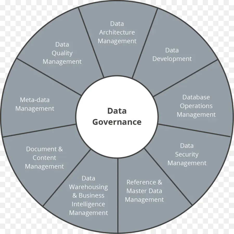 Project Management Body Of Knowledge，Organização PNG