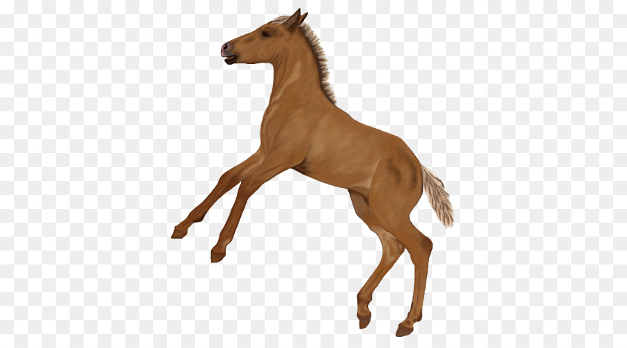 Mustang，Potro PNG