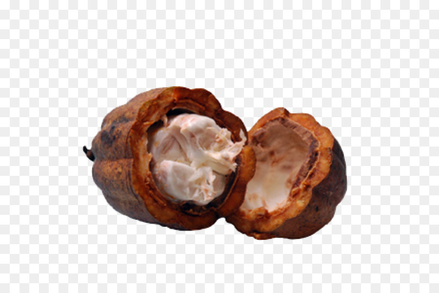 Creme，A Manteiga De Cacau PNG