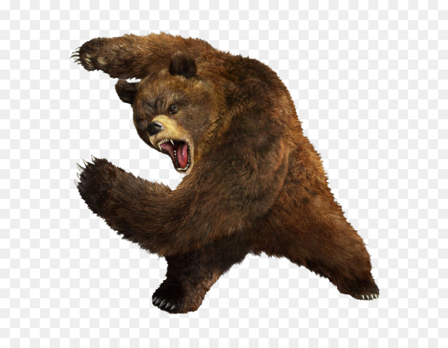 Urso Bravo，Urso PNG