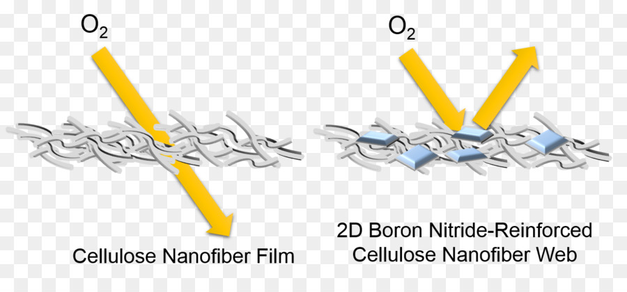 Nitreto De Boro Nanosheet，Nanofibras PNG