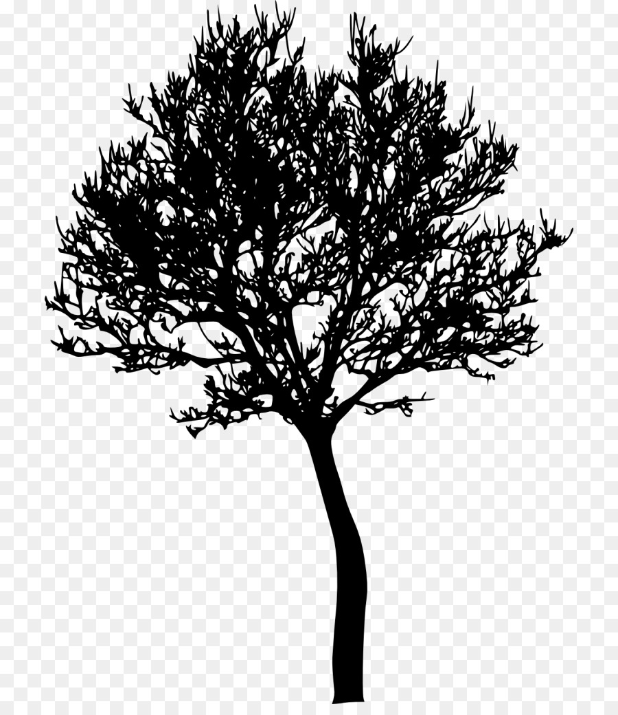 árvore，Treesize PNG