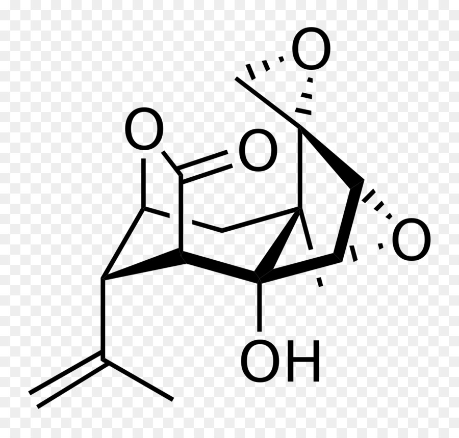 A Cafeína，Molécula PNG