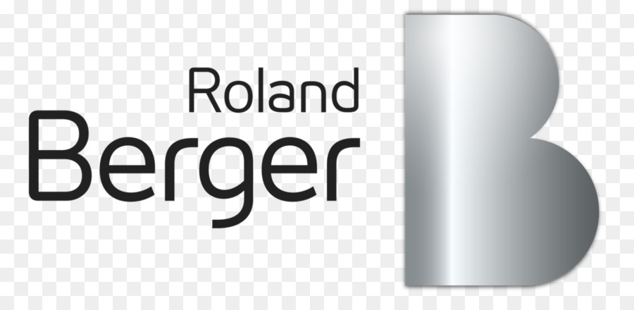 Roland Berger，Negócios PNG