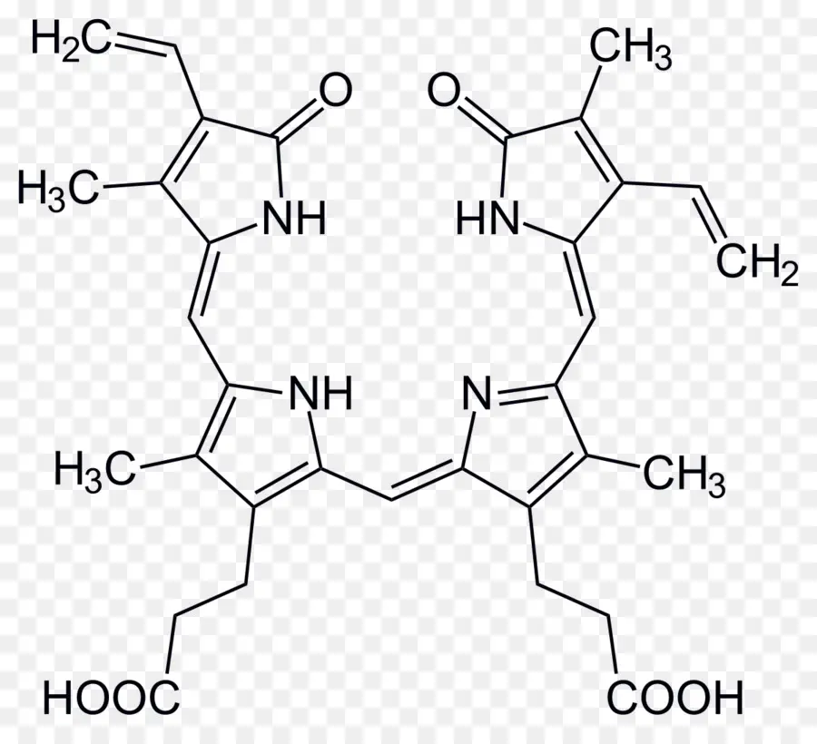 Estrutura Química，Molécula PNG