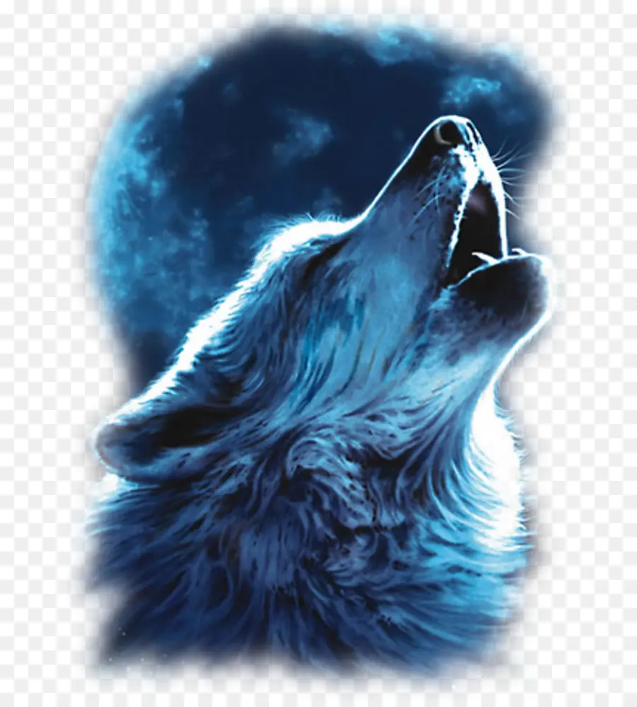 Lobo Cinzento，Lobo Nação A Vida A Morte E O Retorno Do Selvagem Americano Lobos PNG