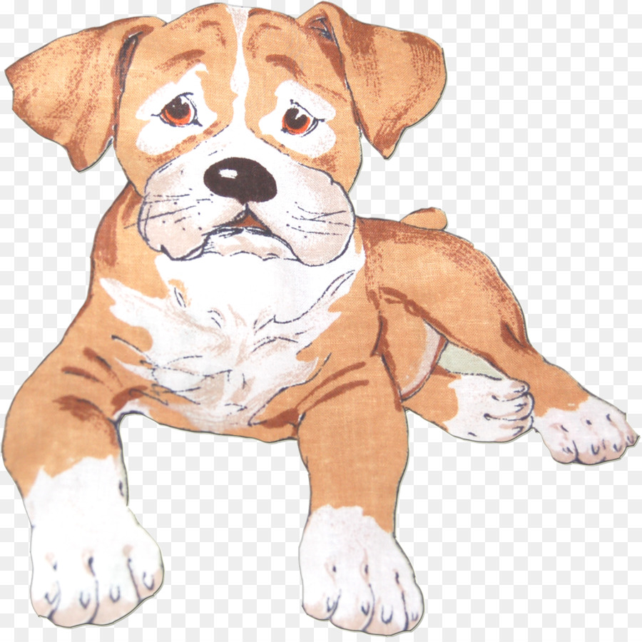 Raça Do Cão，Filhote De Cachorro PNG