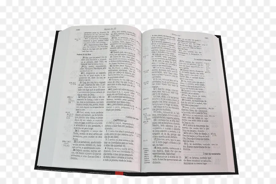 Bible，Almeida Corrigida Fiel PNG