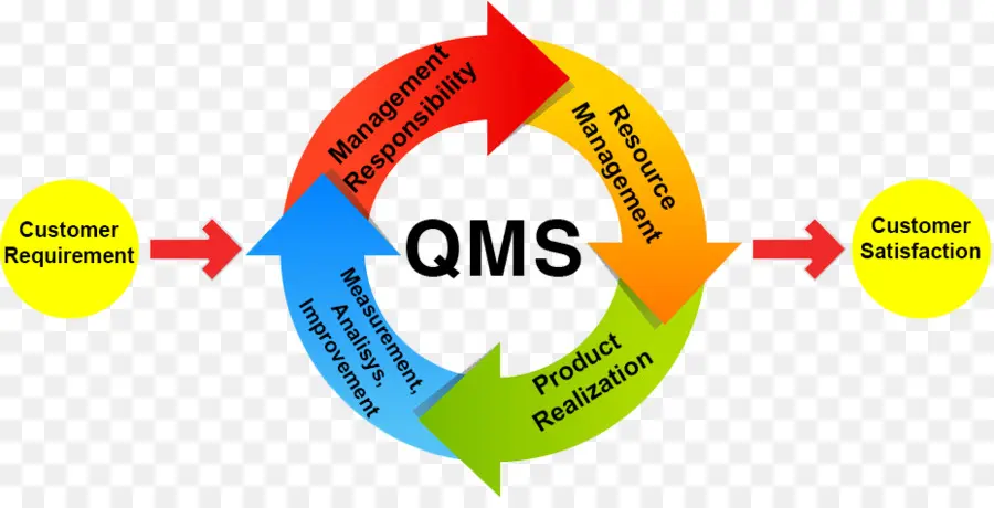 Diagrama Do Sgq，Gestão Da Qualidade PNG