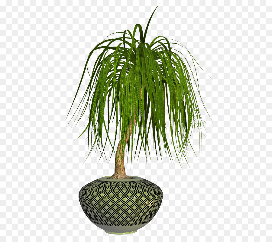 Flowerpot，Planta PNG