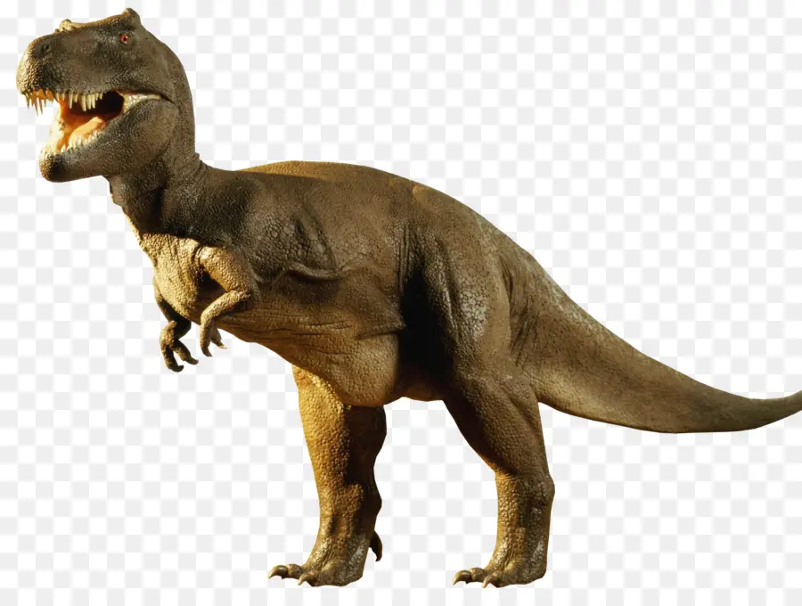 Tiranossauro，Dinossauro PNG