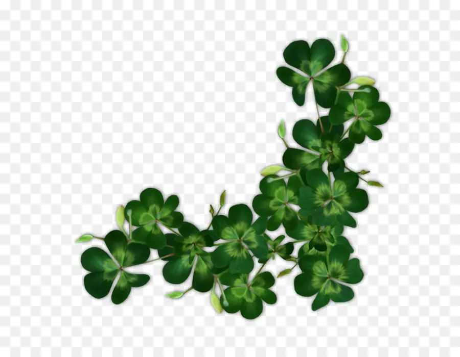 Saint Patrick S Day，Patrick PNG