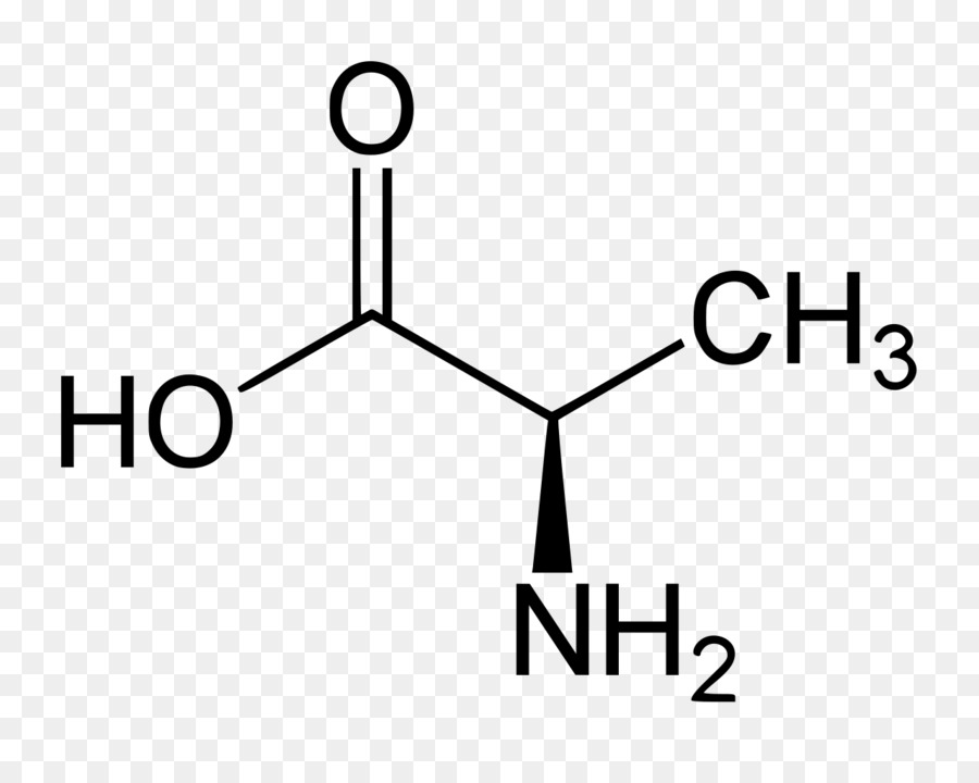 Estrutura Química，Molécula PNG