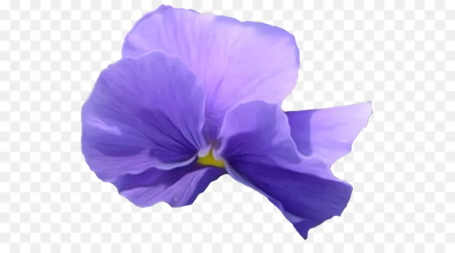 Pansy，Violeta PNG