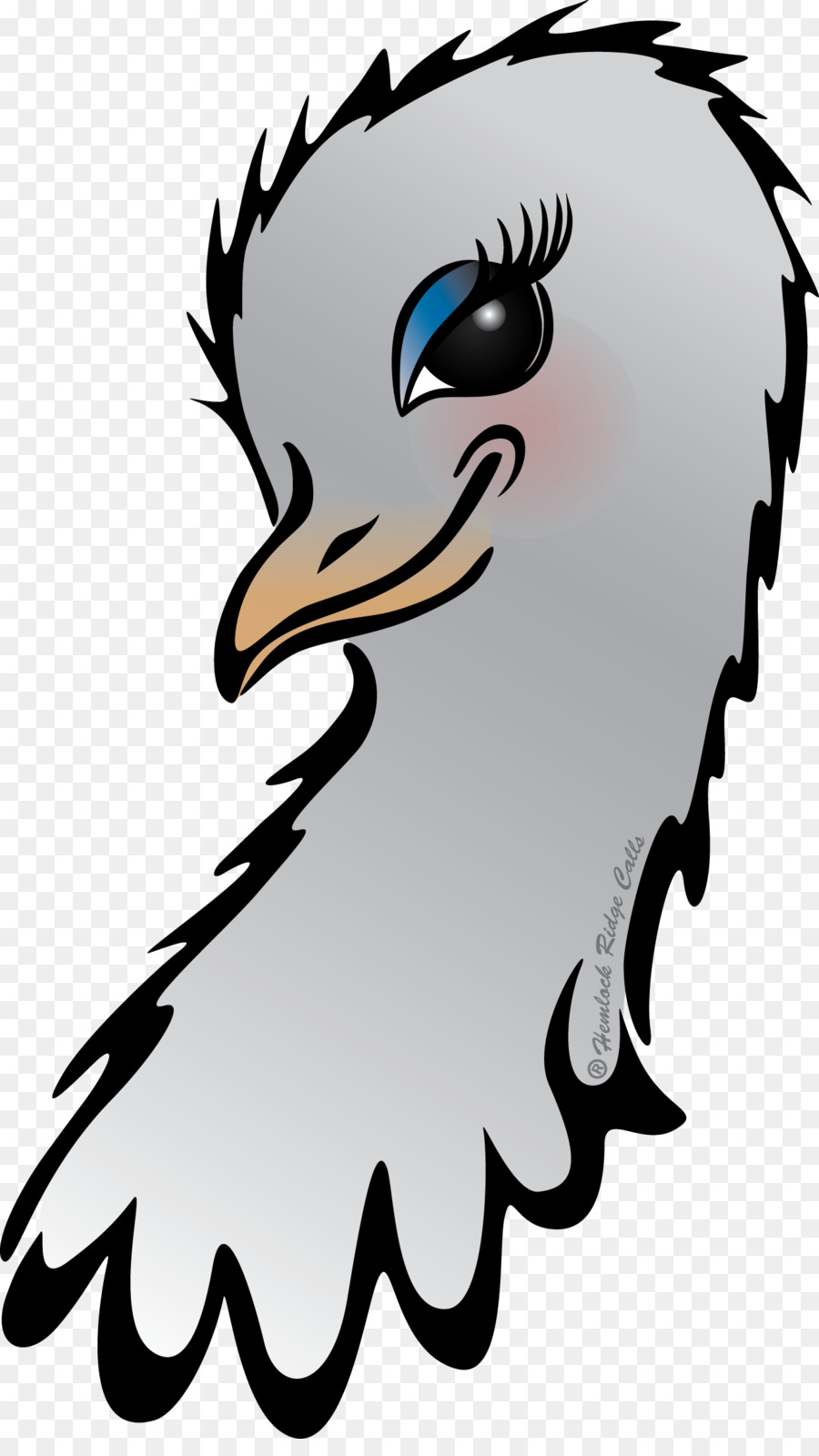 Bico，Aves PNG