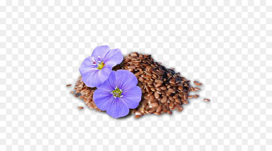 Sementes De Linho，Flores PNG