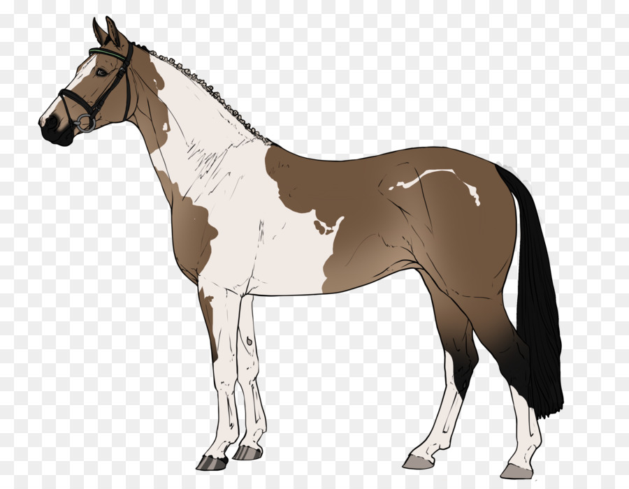 Cavalo，Equino PNG