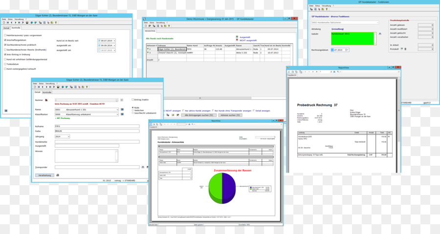 Programa De Computador，Página Da Web PNG